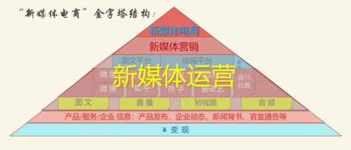 新媒體運營中的技術賦能 從流量獲取到價值深挖